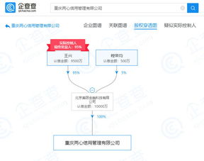 美團旗下公司拓展業(yè)務版圖，新增企業(yè)信用信息咨詢與重慶軟件開發(fā)業(yè)務